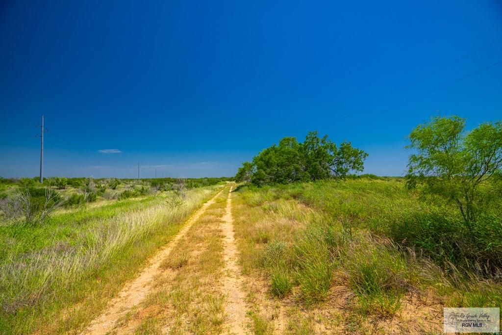 35700 S Fm 3250, LINN, Texas image 9