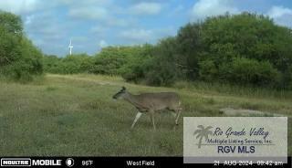 Citation, LYFORD, Texas image 31