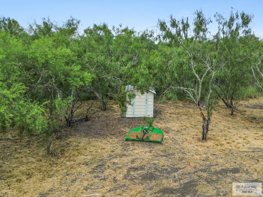 Citation, LYFORD, Texas image 2