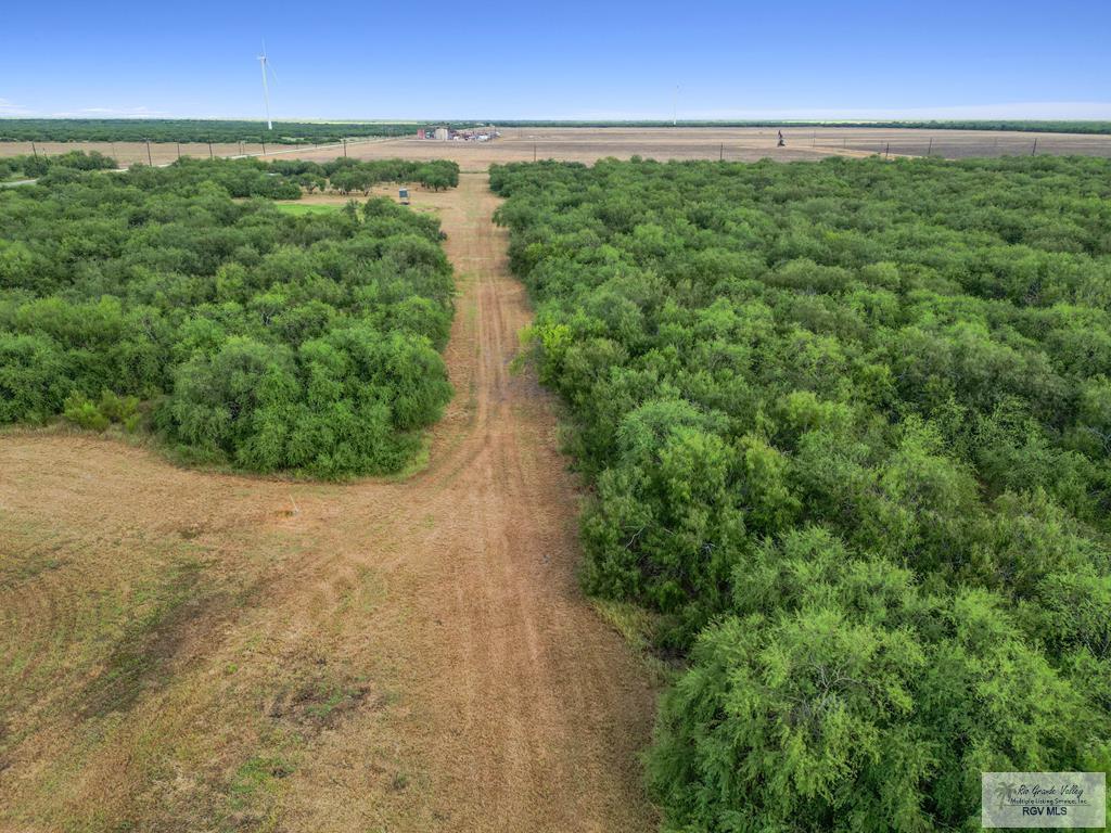 Citation, LYFORD, Texas image 26