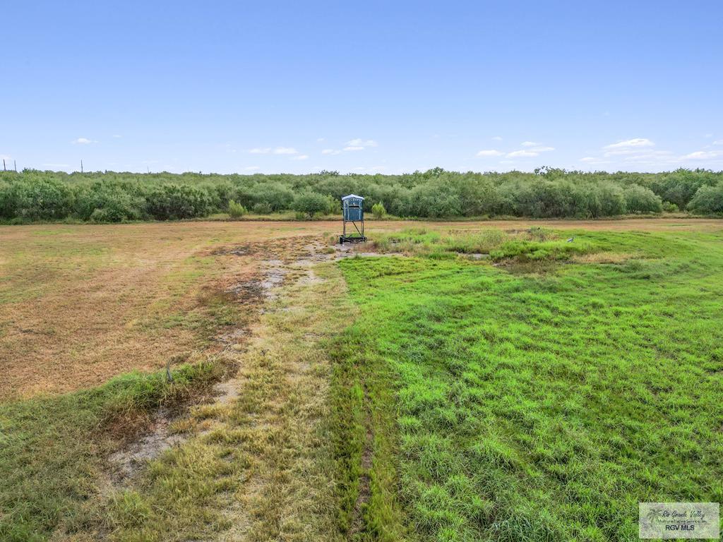 Citation, LYFORD, Texas image 33