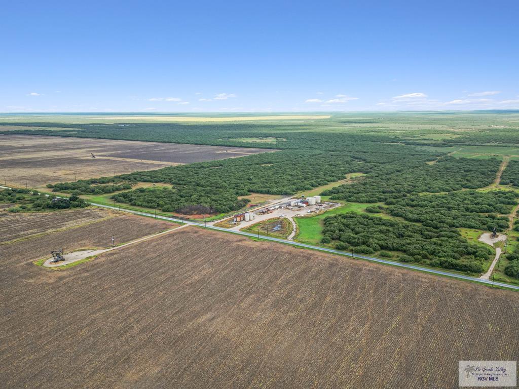 Citation, LYFORD, Texas image 19