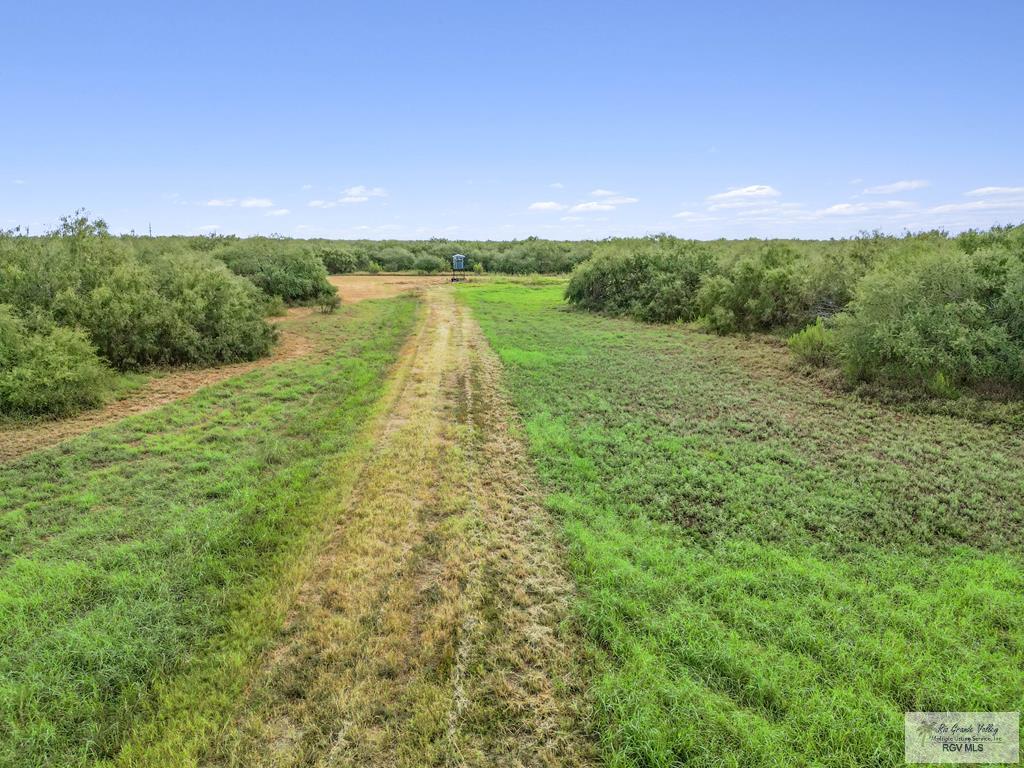 Citation, LYFORD, Texas image 7