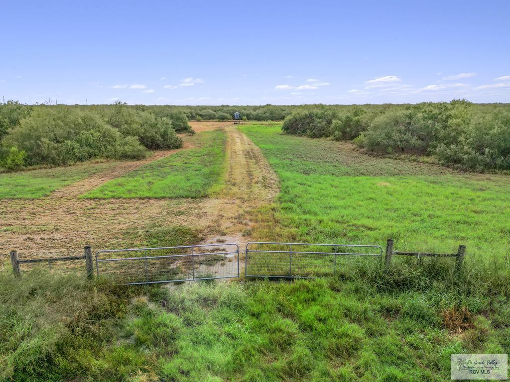 Citation, LYFORD, Texas image 34