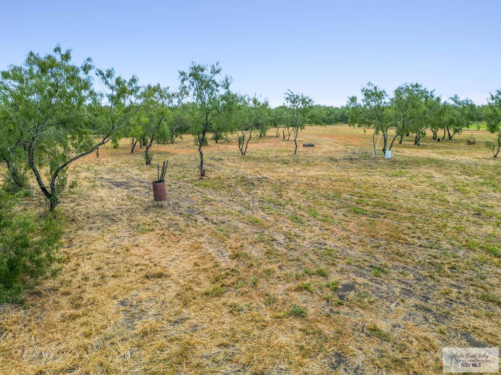 Citation, LYFORD, Texas image 3