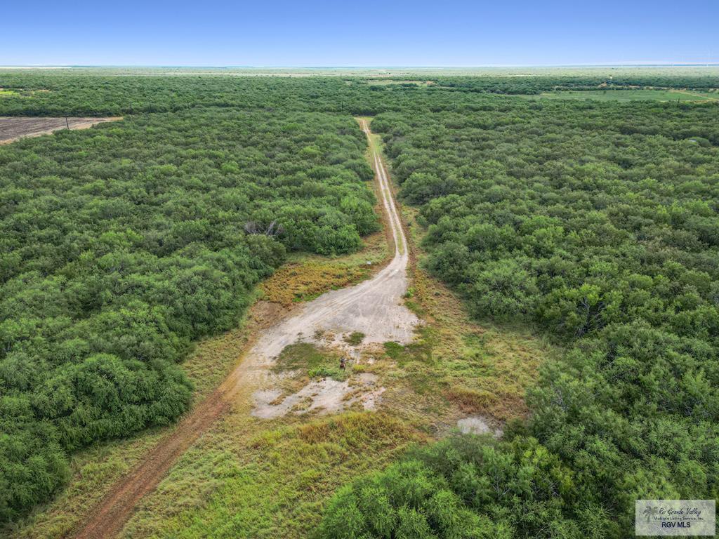 Citation, LYFORD, Texas image 10