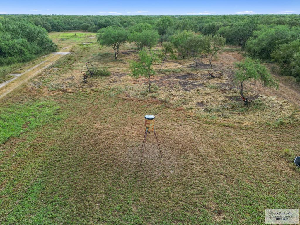 Citation, LYFORD, Texas image 12