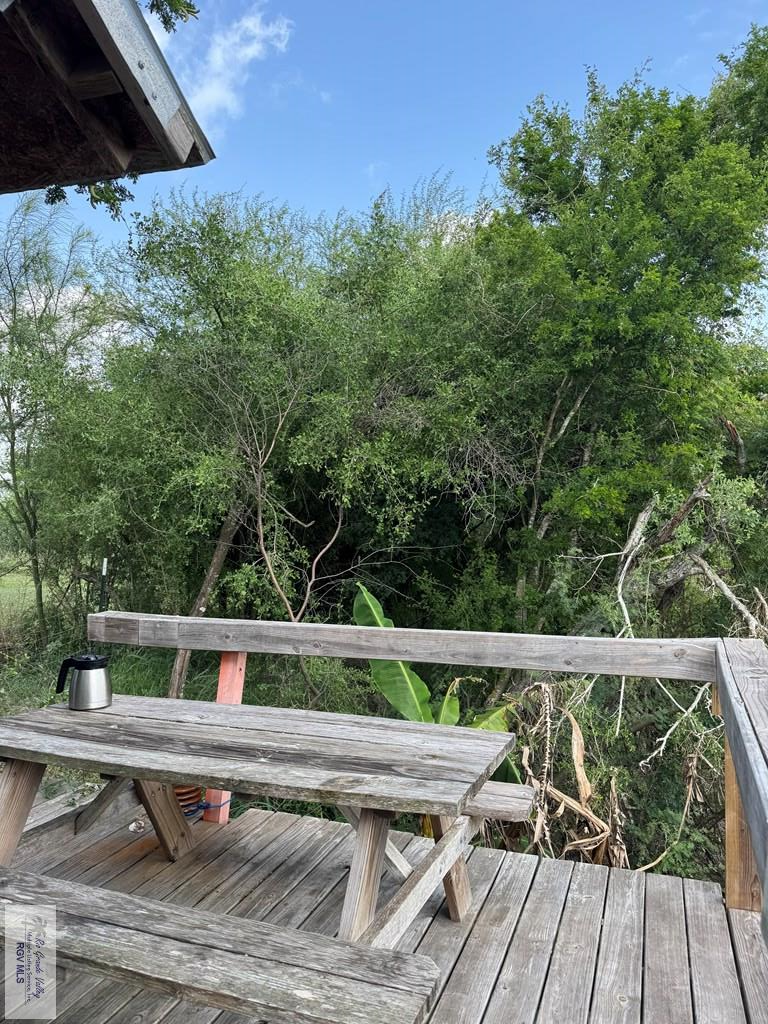 32326 Gamble Rd, SAN BENITO, Texas image 14