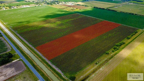 Vacant Land For Sale - TBD Fm 507<br/> Cameron County, HARLINGEN, TX 78550