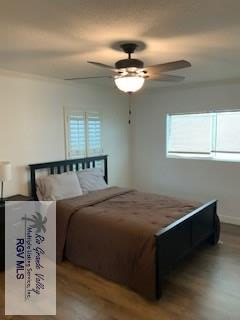 708 NW Deleon St, RANCHO VIEJO, Texas image 8