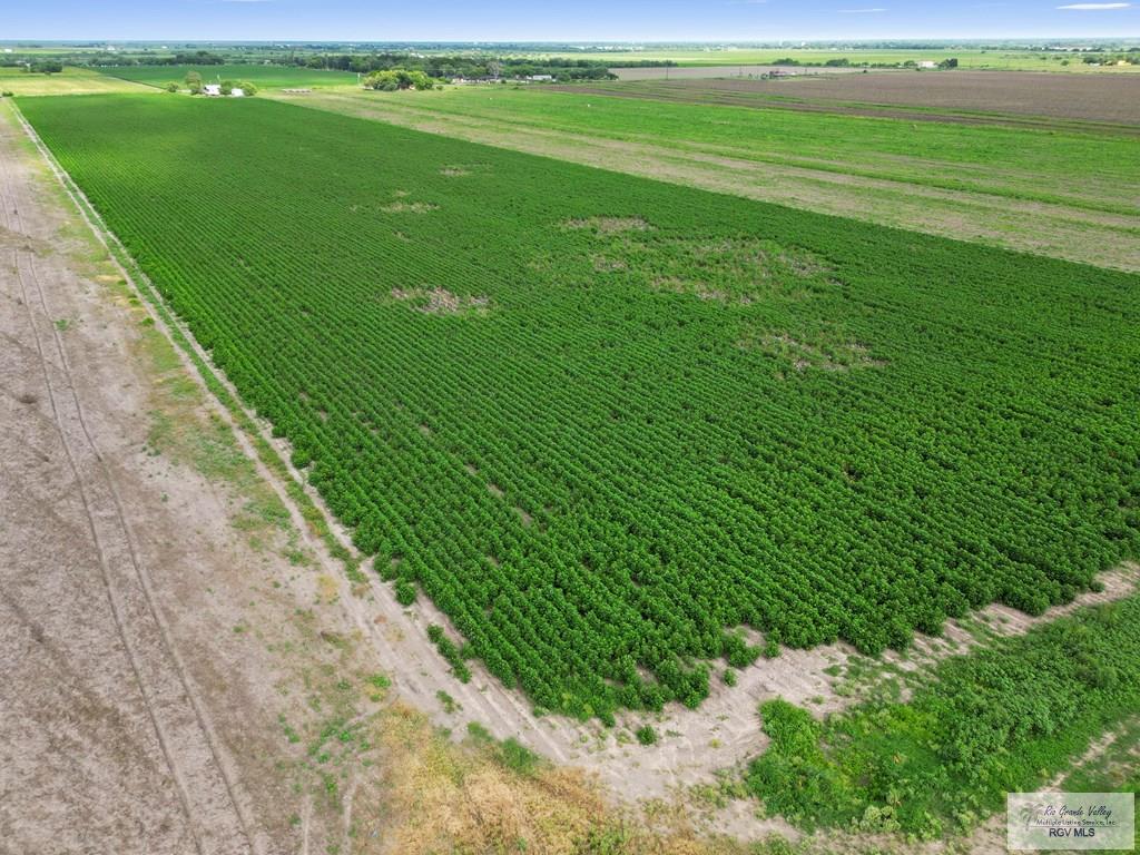 18.34 Fm 2556, SANTA ROSA, Texas image 8