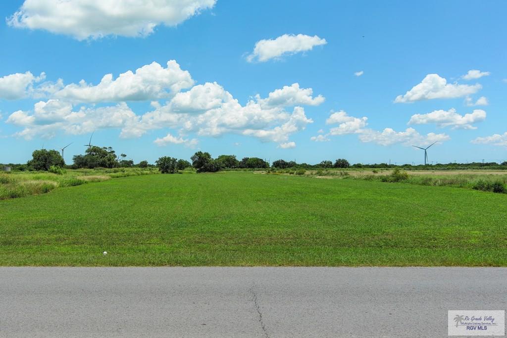 E Brown Tract Rd, LOZANO, Texas image 2