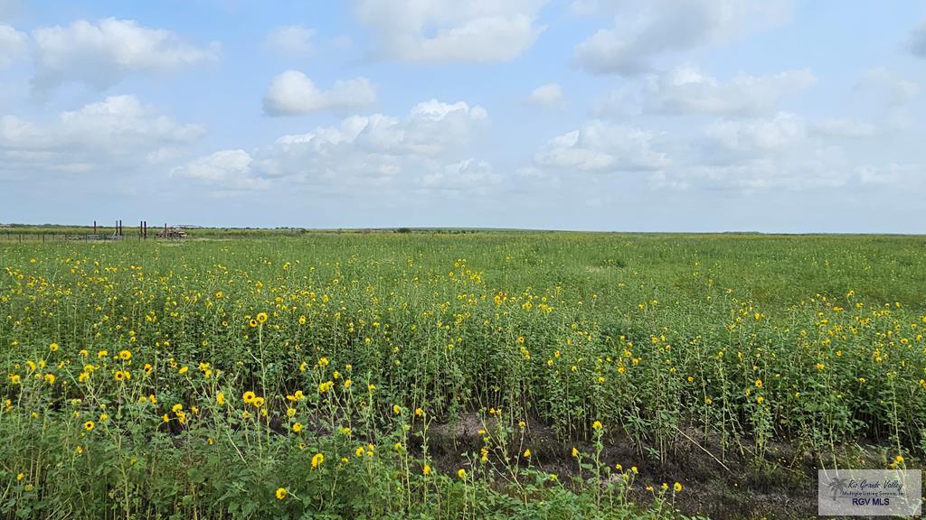 N/A Turner Rd, LYFORD, Texas image 9