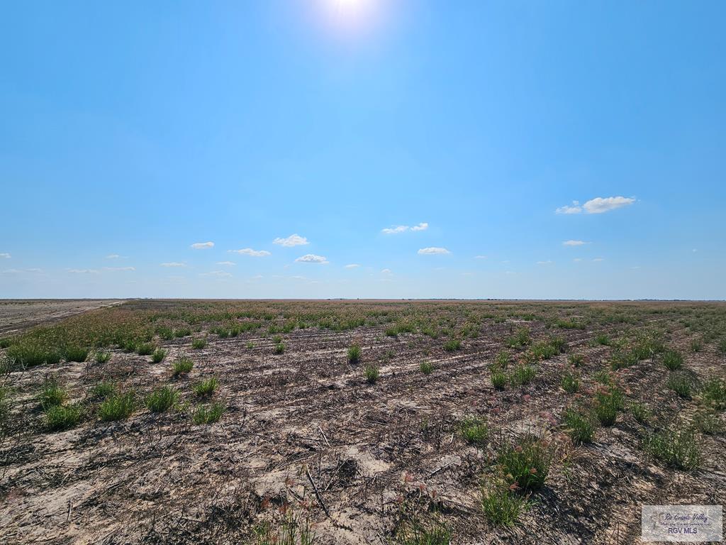 N/A Turner Rd, LYFORD, Texas image 1