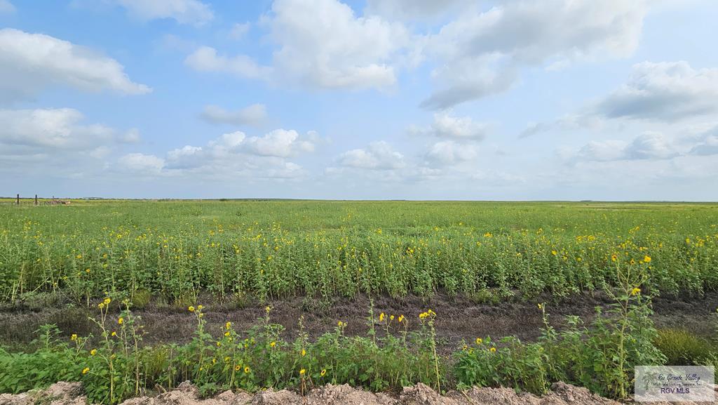 N/A Turner Rd, LYFORD, Texas image 3