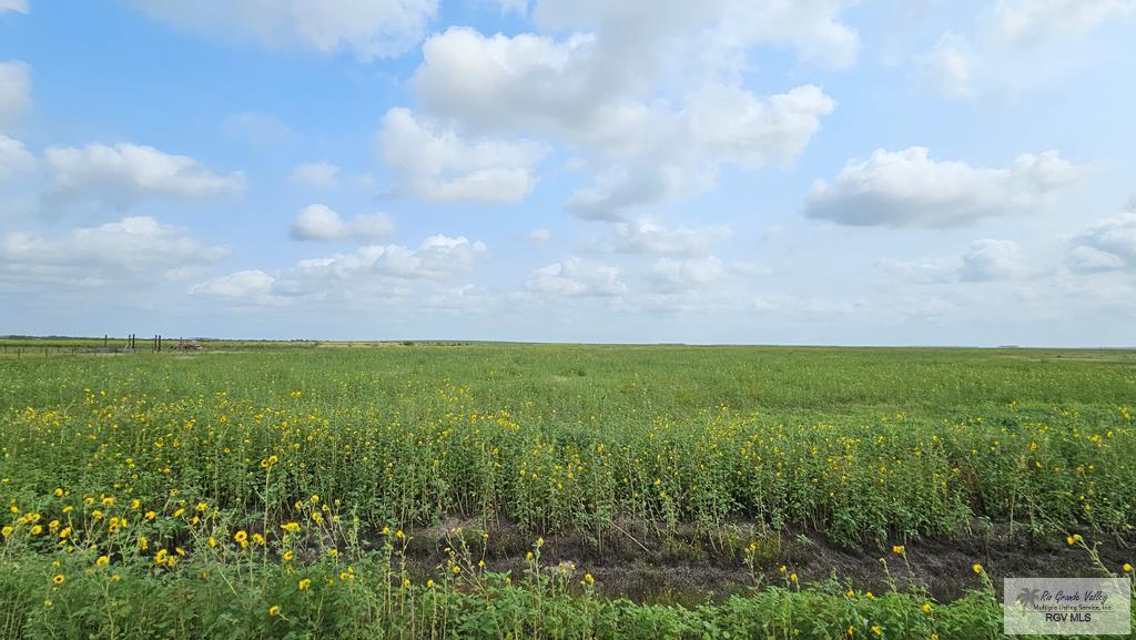 N/A Turner Rd, LYFORD, Texas image 6