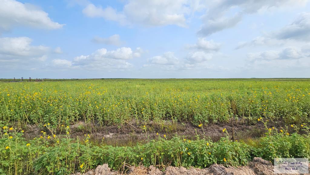 N/A Turner Rd, LYFORD, Texas image 2