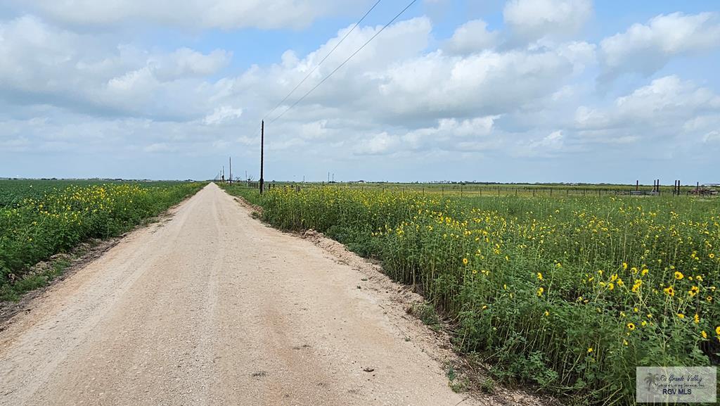 N/A Turner Rd, LYFORD, Texas image 8