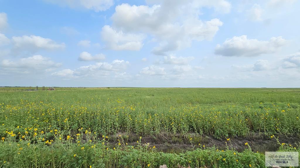 N/A Turner Rd, LYFORD, Texas image 4