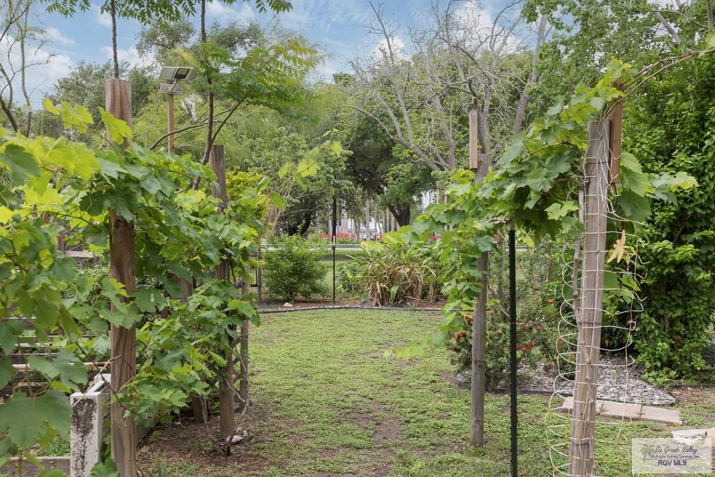 701 S Parker Rd, LA FERIA, Texas image 37