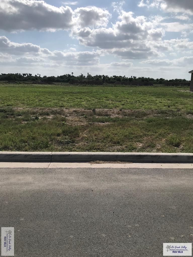 1209 Thacker Lane, HARLINGEN, Texas image 2