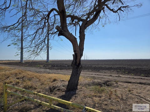 Vacant Land For Sale - OFF Gamble Rd<br/> SAN BENITO, TX 78006