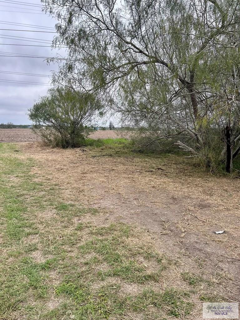 00 Paloma Dr, SAN BENITO, Texas image 9