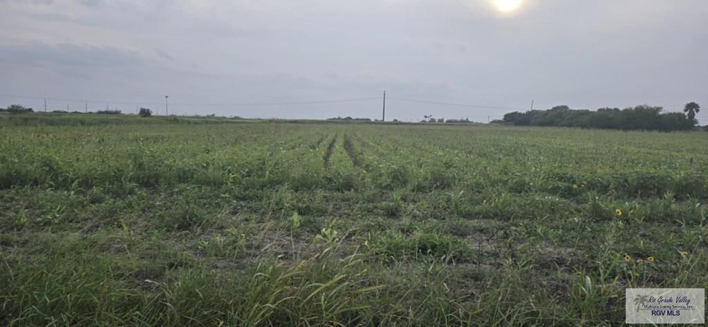 High Canal Rd, SANTA ROSA, Texas image 3