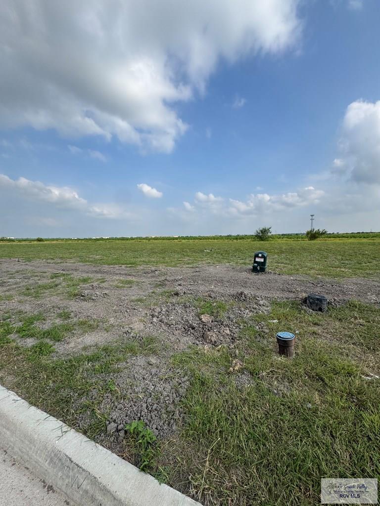 0000 Escondido Ln, HARLINGEN, Texas image 3