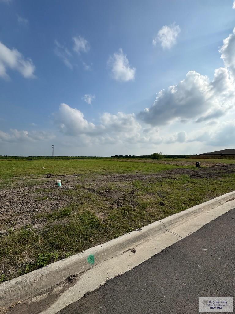 0000 Escondido Ln, HARLINGEN, Texas image 2