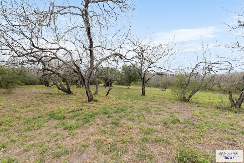 29005 Vasquez Rd, SAN BENITO, Texas image 46