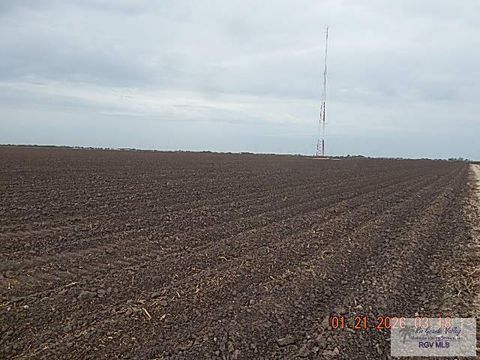 Vacant Land For Sale - CR 3450 E Bush Rd<br/> Willacy County, RAYMONDVILLE, TX 78580