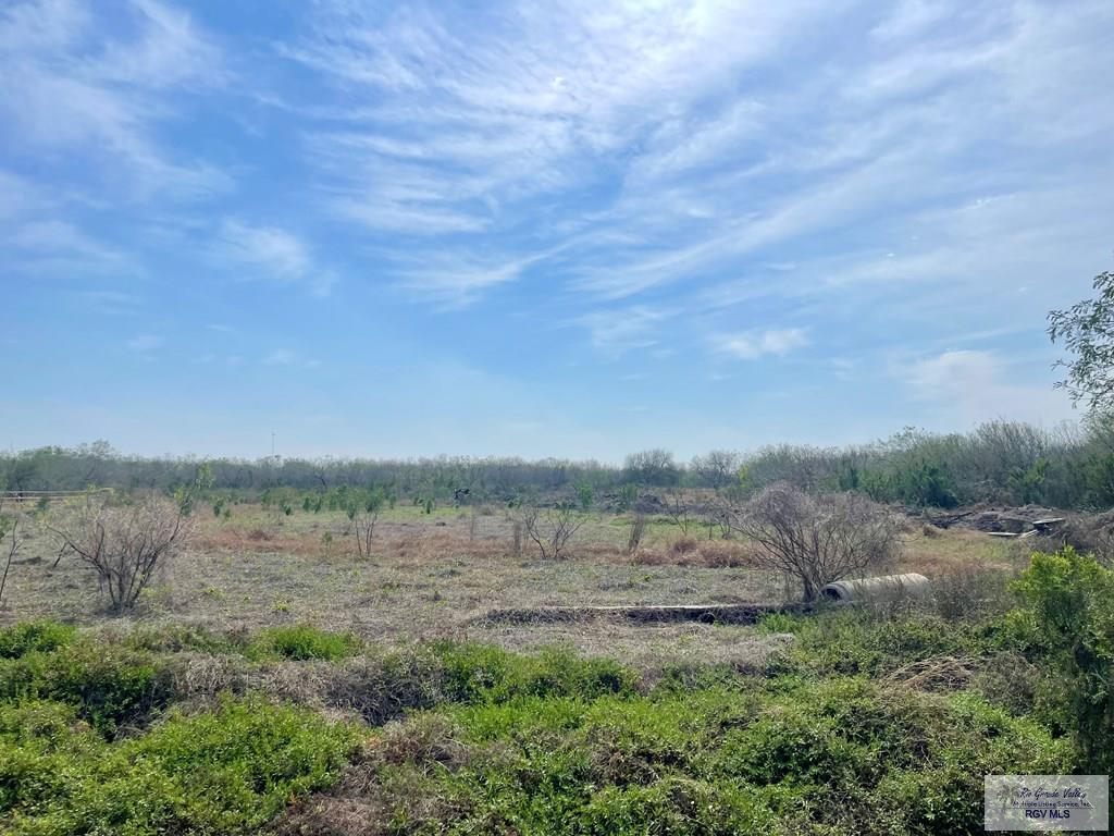 11070 Memorial Ln, LA FERIA, Texas image 2