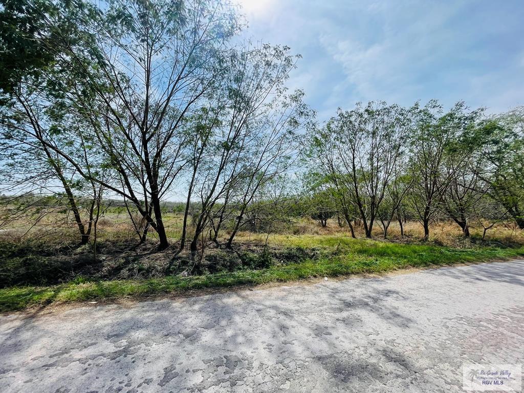 11070 Memorial Ln, LA FERIA, Texas image 1