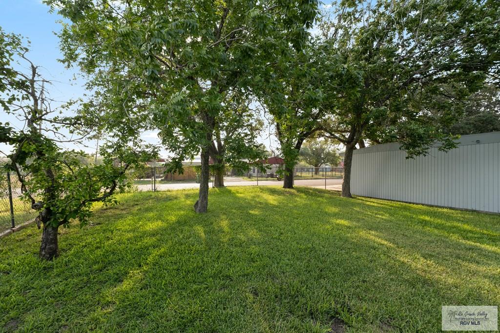 795 W White Ave, RAYMONDVILLE, Texas image 29