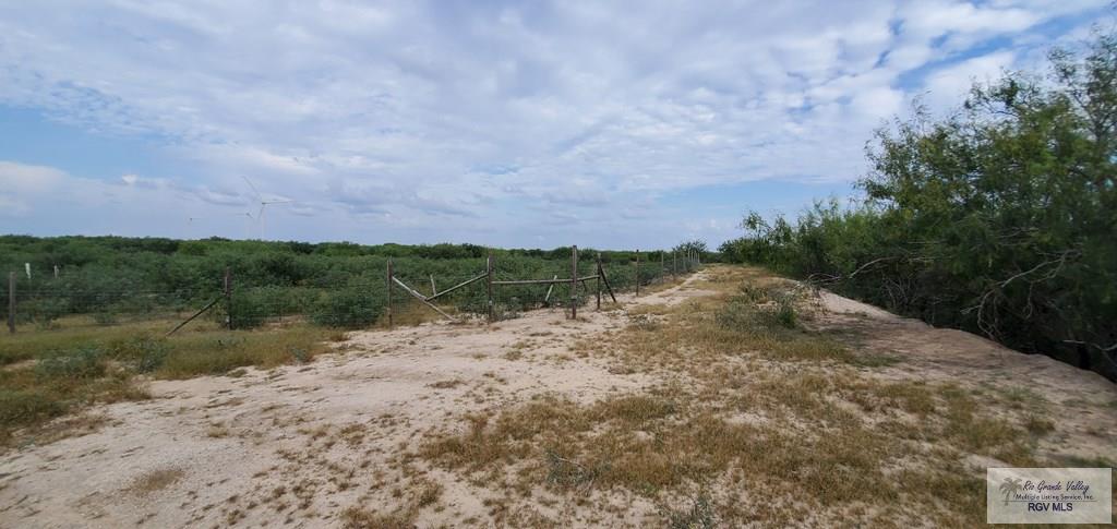 21663 Fm 1847 #29, RIO HONDO, Texas image 14