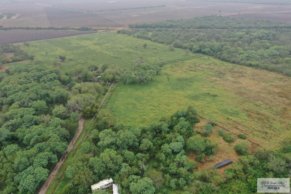 00000 Old Alice Rd, LOS FRESNOS, Texas image 3