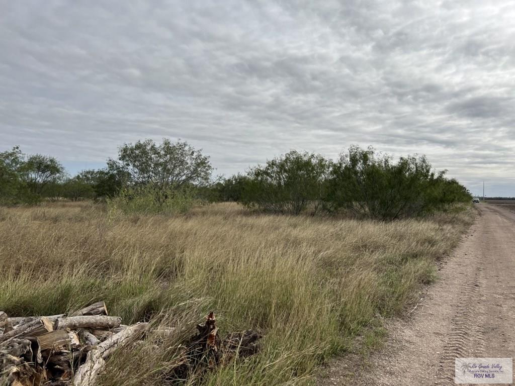 00 Forto Land Rd, LA FERIA, Texas image 4