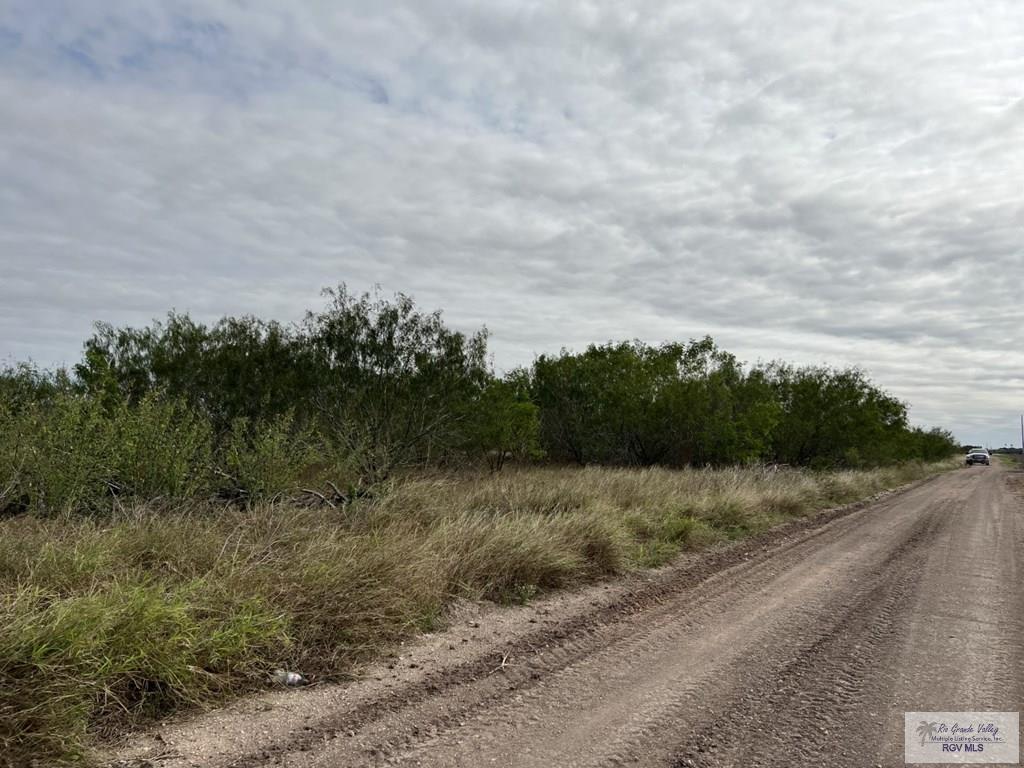 00 Forto Land Rd, LA FERIA, Texas image 9