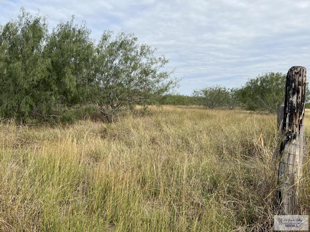 00 Forto Land Rd, LA FERIA, Texas image 1