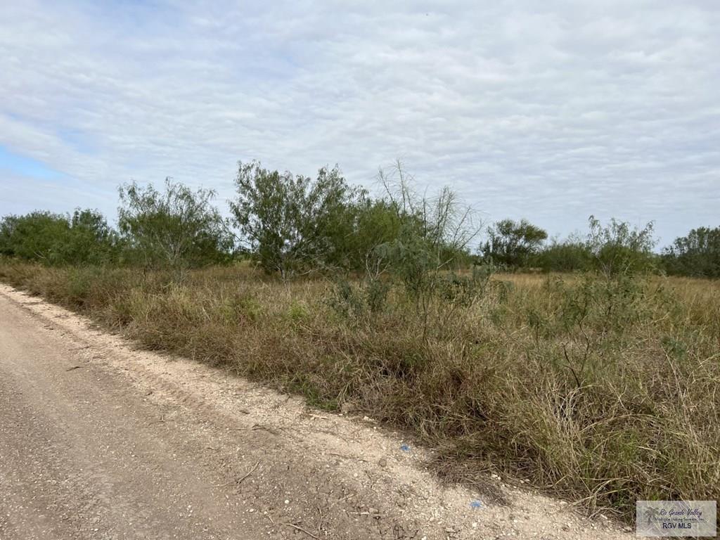 00 Forto Land Rd, LA FERIA, Texas image 3