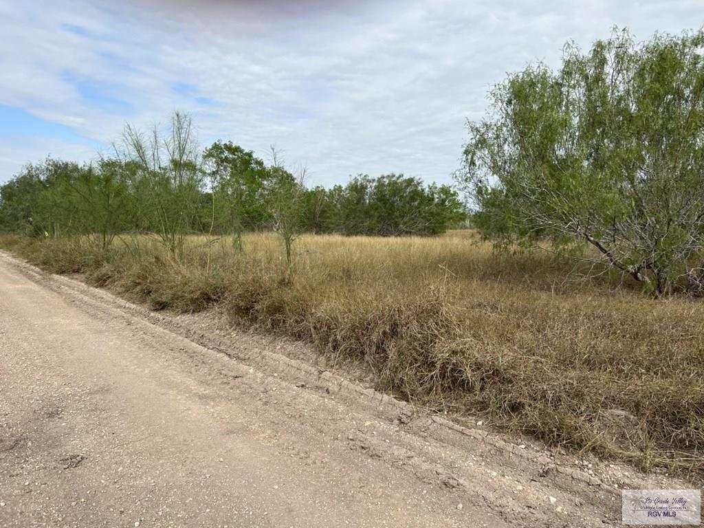 00 Forto Land Rd, LA FERIA, Texas image 8