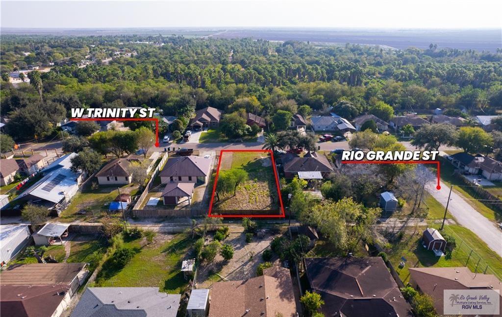 1114 Trinity St, ALAMO, Texas image 1
