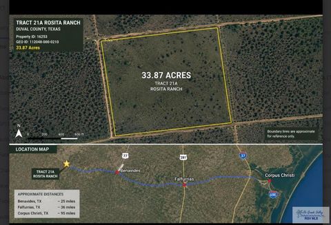 Vacant Land For Sale - TRACT 21A Rosita<br/> BENAVIDES, TX 