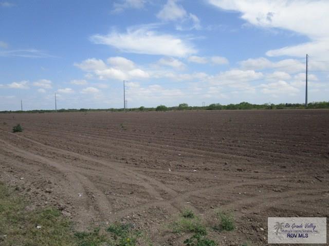 30 Acres Sherer Rd, SAN BENITO, Texas image 8
