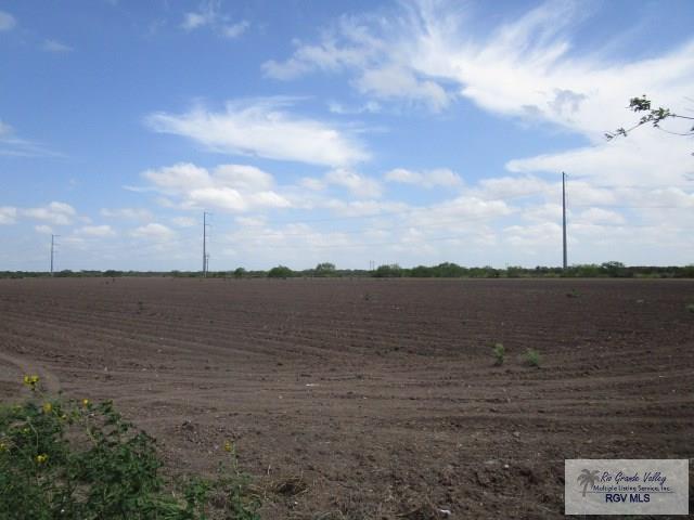 30 Acres Sherer Rd, SAN BENITO, Texas image 5