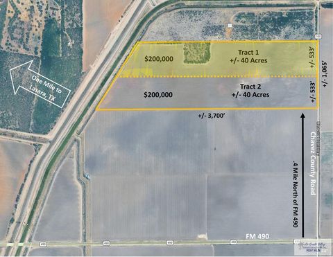 Vacant Land For Sale - 40 AC (TR.1) N Chavez Cemetery Road<br/> Willacy County, LASARA, TX 78561