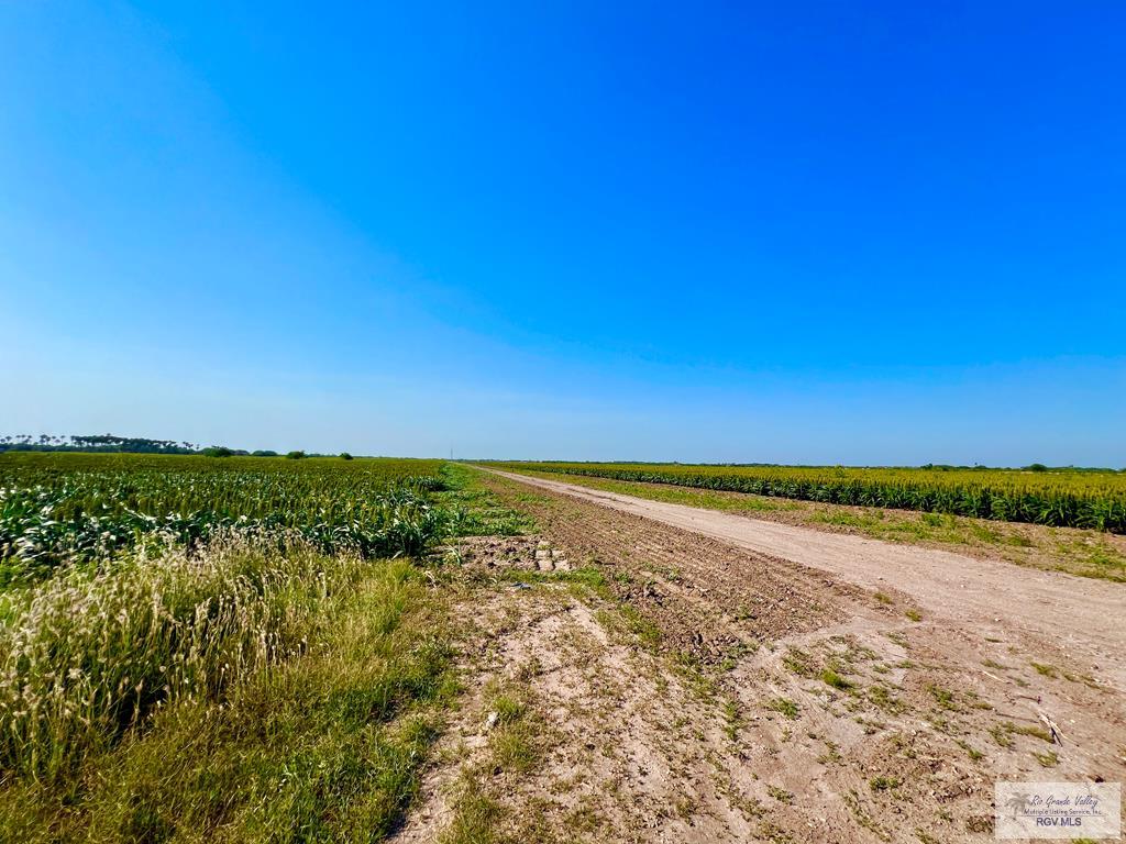 33.52 Ac. S Kansas City Rd, LA FERIA, Texas image 6