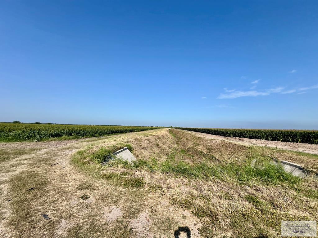 33.52 Ac. S Kansas City Rd, LA FERIA, Texas image 4