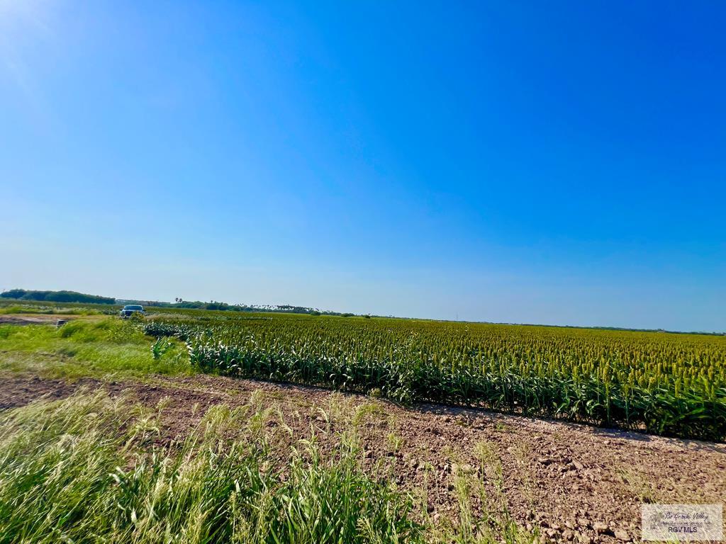 33.52 Ac. S Kansas City Rd, LA FERIA, Texas image 7